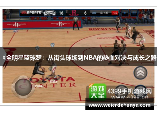 《全明星篮球梦：从街头球场到NBA的热血对决与成长之路》