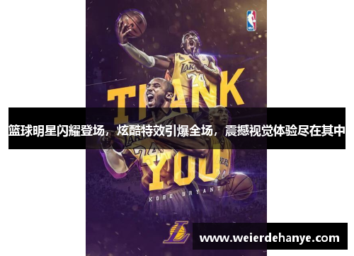 篮球明星闪耀登场，炫酷特效引爆全场，震撼视觉体验尽在其中